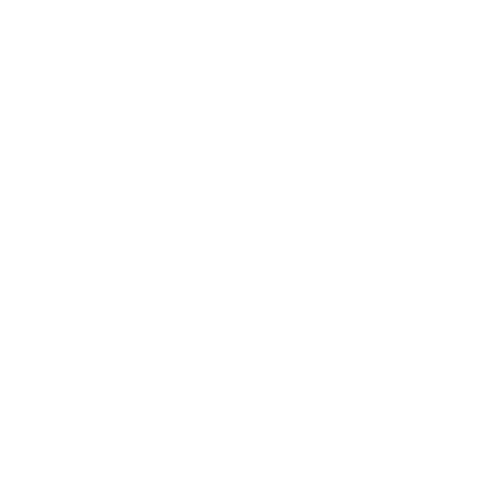 National Sanitization Foundation logo.