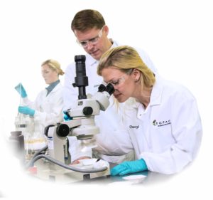 Image of three people working at a microscope in a laboratory.